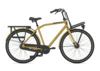 Gazelle HeavyDutNL Herren Lastenrad - 54cm - 2024 - NEU - REDUZIERT - qwe Köln - Braunsfeld Vorschau