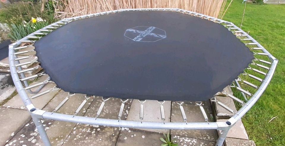 Trampolin octogonal 300 in Bünde