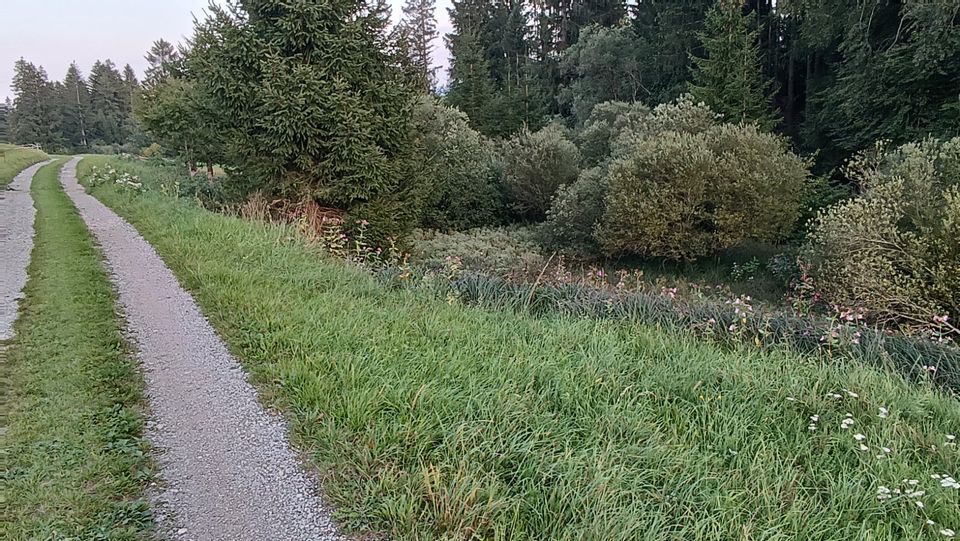 Landwirtschaftliche Fläche mit Hütte, Bachlauf, Freizeitcharakter in Lechbruck