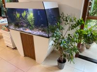 Aquarium 260 Liter komplett wegen Hobbyaufgabe zu verkaufen Baden-Württemberg - Au Vorschau