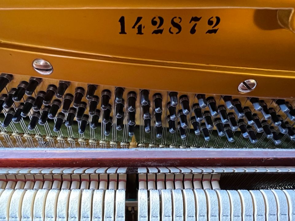 C. Bechstein Klavier Model 8 - 128, Baujahr 1950 Wurzel braun in Ahrensburg