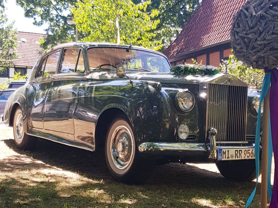 ⭐️Rolls Royce Silver Cloud 1 ⭐️ Traumhafte Farbkombination❗️ in Stemwede