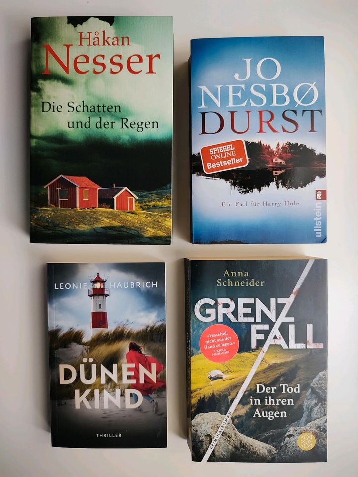 Taschenbücher Thriller Roman Schatten Regen Durst Dünen Grenzfall in Köln