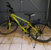 Fahrrad Raleigh Funmax Rheinland-Pfalz - Kalenborn (bei Kaisersesch) Vorschau