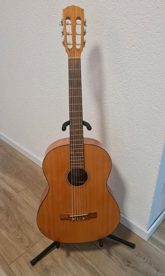 Fender ESC 105 Acoustics Gitarre in Dettingen unter Teck