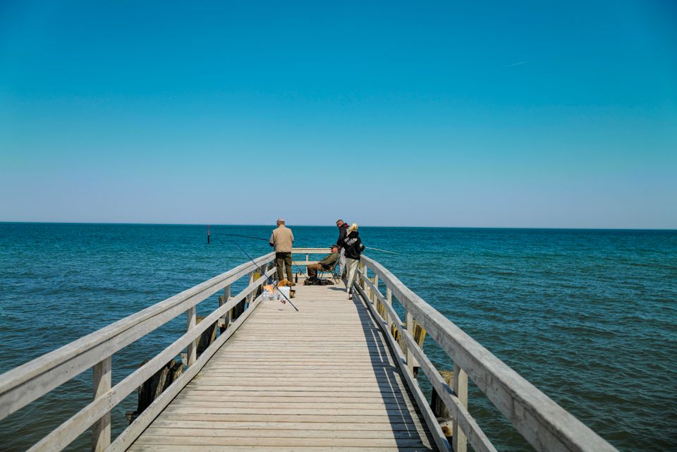 03.-11.08.2024 ZINGST Ferienhaus SAUNA KAMIN 3 SZ 2 Bäder %Lücke% in Zingst