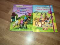 Leselernmappe und Silbengeschichten zum Lesenlernen Pferde Nordrhein-Westfalen - Minden Vorschau