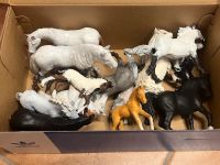 Schleich Body Hessen - Wettenberg Vorschau