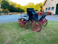 Pferdekutsche Kutsche Kombikutsche Bremen - Osterholz Vorschau