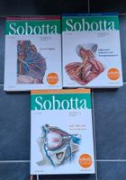 Sobotta Lern Atlas Anatomie Medizin 24. Auflage wie Neu Münster (Westfalen) - Gievenbeck Vorschau