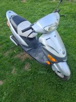 Rex RS 450 Street ( Roller ) Sachsen-Anhalt - Derenburg Vorschau