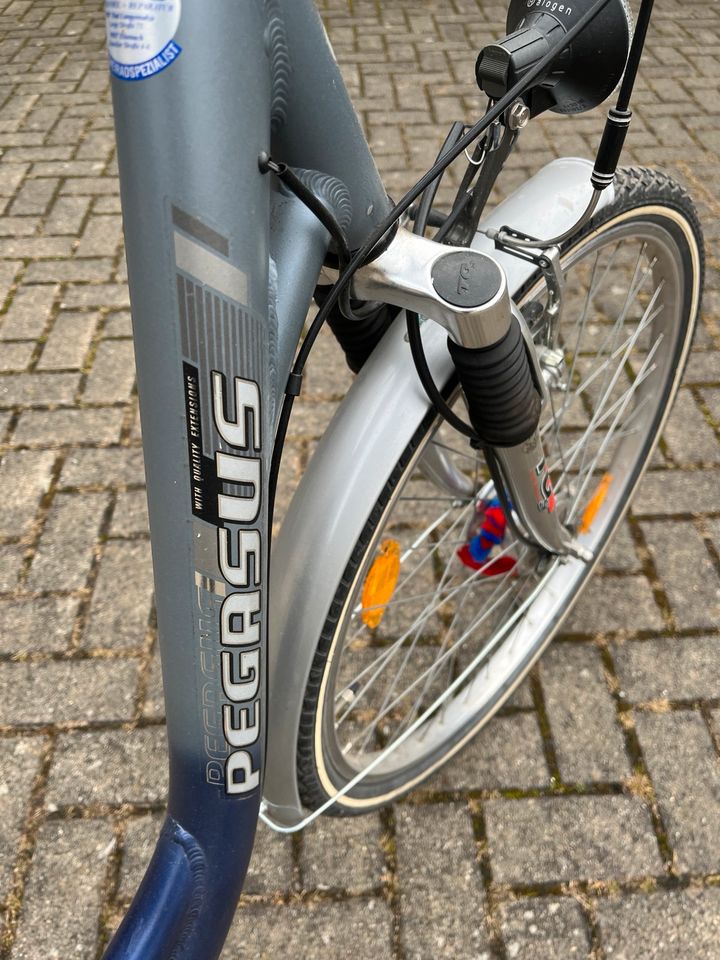 Damen Fahrrad Pegasus Alu Rad in Arnstadt