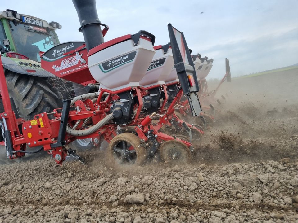 Dienstleistung Kverneland Mais,Rüben, Sonnenblumen und Raps legen in Meerane