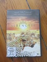 DVD SERENGETI Circle of Life von Hugo van Lawick Hamburg-Nord - Hamburg Eppendorf Vorschau