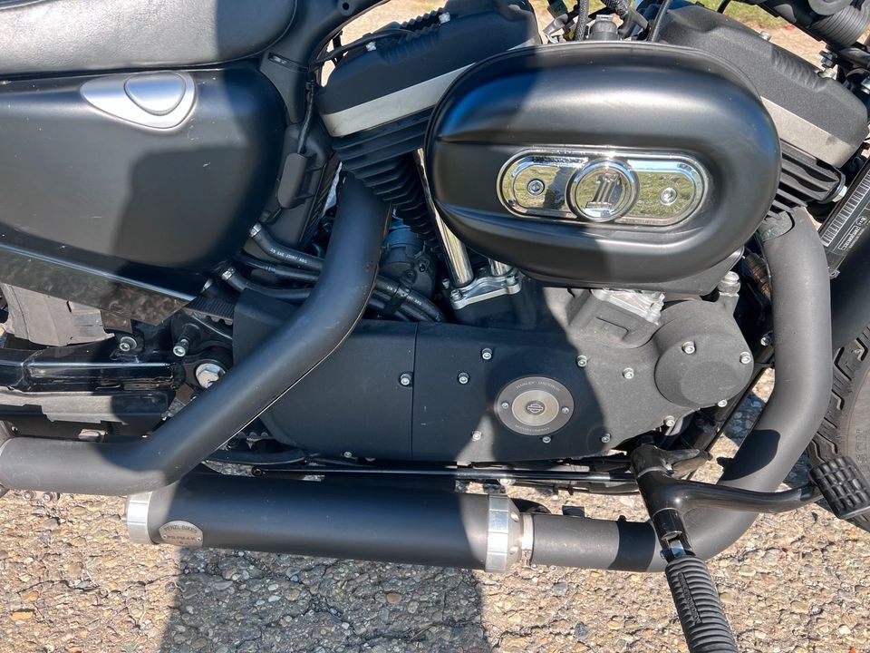 Harley Davidson Sportster XL 883 in Geislingen