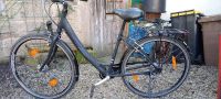 Steppenwolf Damenfahrrad 28 Zoll Hessen - Helsa Vorschau