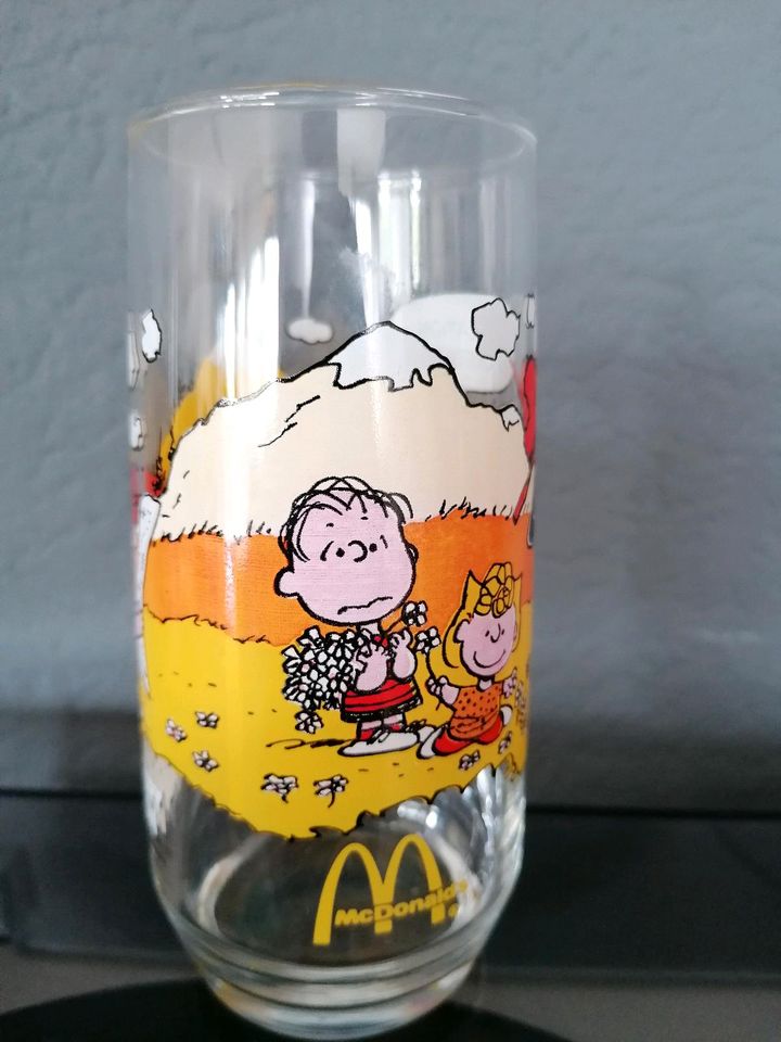 Snoopy, Charly Brown, Peanuts Camp. Snoopy Collection Glas in Mainhausen