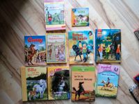 Pferdebücher, Conny, Lissy, Ponyhof Liliengrün, Pony Prinzessin Niedersachsen - Badbergen Vorschau