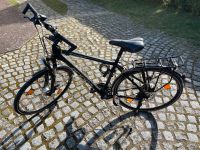 Trecking-Fahrrad, Arinos Herrenfahrrad 28 Zoll Ludwigslust - Landkreis - Lübtheen Vorschau