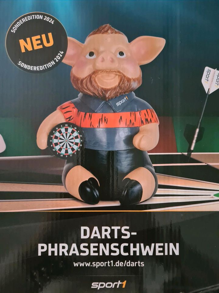 Darts Phrasenschwein, Sonderedition 2024, "Big Boy" in Bochum - Bochum-Nord  | eBay Kleinanzeigen ist jetzt Kleinanzeigen