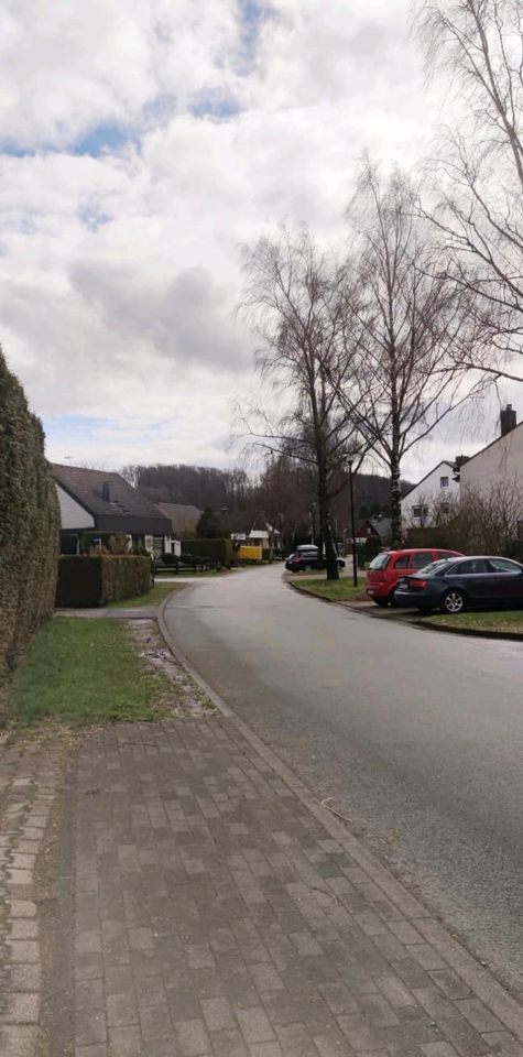 3 Eigentumswohnungen in einem 6 Familienhaus Horn-Bad Meinberg in Horn-Bad Meinberg