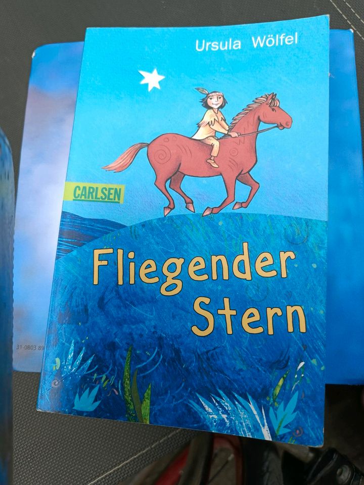 Buch - Fliegender Stern in Hohndorf