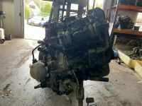 VW Polo 6N2 1.4 44KW 60PS Motor Getriebe Ersatzteile Niedersachsen - Bad Harzburg Vorschau