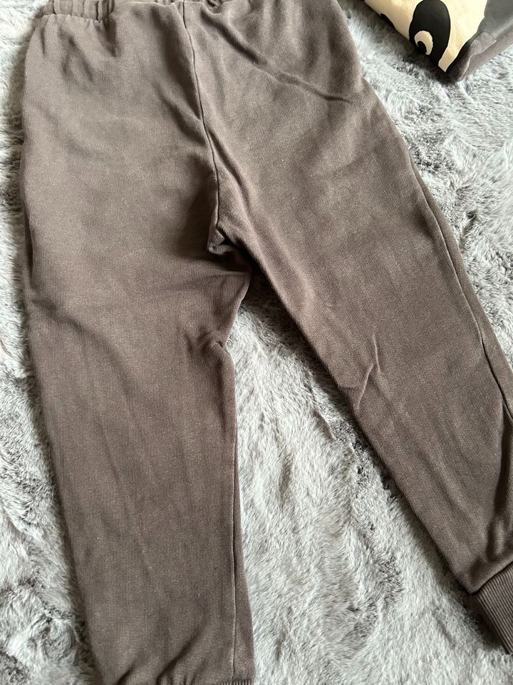 H&M Sweatshirt Hose Jogger 104 Anthrazit mit Fleck SET Panda Bär in Rimbach