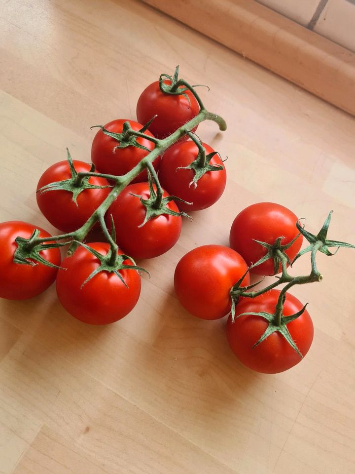 1€ Tomaten Fleisch Oxen Coctail San Marzano Pflanzen Sämlinge in Graben-Neudorf