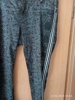 Tredy Hose in 3 Niedersachsen - Bassum Vorschau