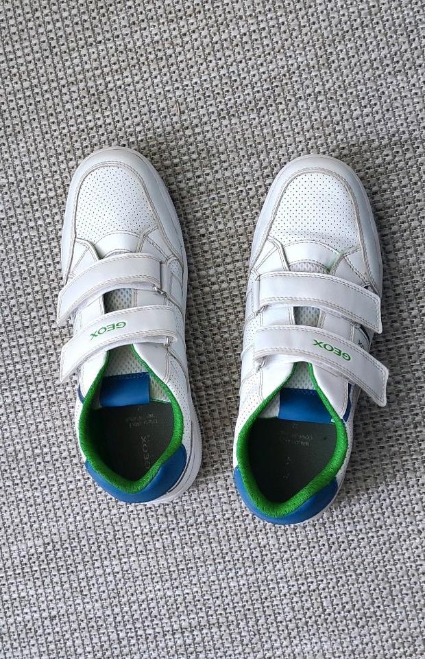 Geox Sneaker Gr. 39 weiß mit grün - blau in Norderstedt