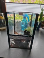 Terrarium 20x20x30 Nordwestmecklenburg - Landkreis - Herrnburg Vorschau