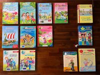 Bücher Set für Erstleser 1. / 2. Klasse Schule Riesen Konvolut Brandenburg - Blankenfelde Vorschau