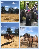 Kindergeburtstag auf dem Reiterhof, Ponys, Bauernhof! Rheinland-Pfalz - Altenkirchen Vorschau