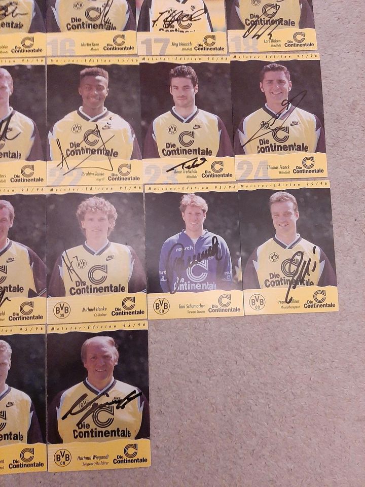 32 x Autogrammkarten Borussia Dortmund BVB 95/96 alle signiert!!! in Unna