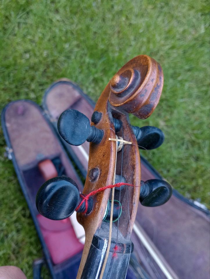 Alte Geige in Sierksrade