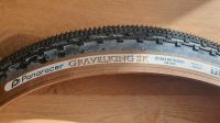 PANARACER Gravelking SK TLC, NEU, 650Bx48mm, 48-584 Neustadt - Buntentor Vorschau