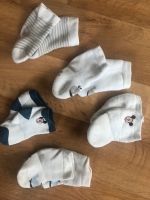 5 Paar Babysocken, Babysöckchen, Baumwolle, Gr. 19-22 Bayern - Betzigau Vorschau