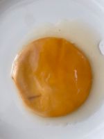 Kombucha Scoby Hannover - Linden-Limmer Vorschau