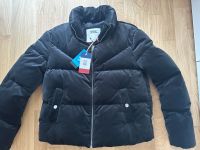 Tommy Hilfiger Winterjacke samt schwarz neu mit Etikett Dresden - Loschwitz Vorschau