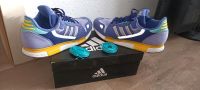 Adidas zx 800 Purple/Yellow / Selten Sachsen-Anhalt - Wernigerode Vorschau