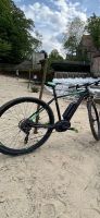Hochwertiges E-Bike für Fahrradtouren zu vermieten (Bringservice) Nordrhein-Westfalen - Sassenberg Vorschau