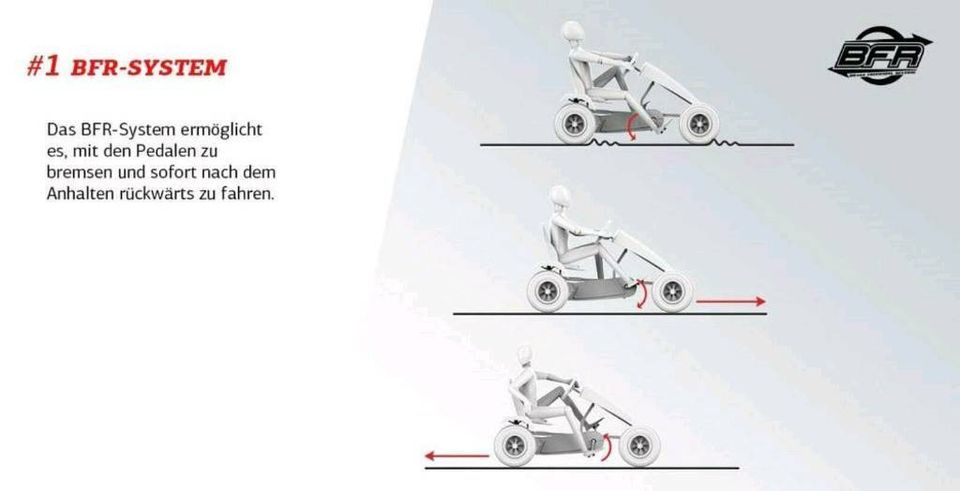 BERG Gokart RACE GTS E-BFR elektrischer Antrieb E-Bike Technik in Fröndenberg (Ruhr)