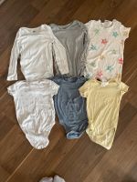 6 x zara h&m Baby Body 86/92 komplett Set Bayern - Regensburg Vorschau