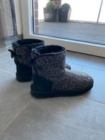 **SONDEREDITION** UGG Boots Tiger gold schwarz in 41 Nordrhein-Westfalen - Kleve Vorschau