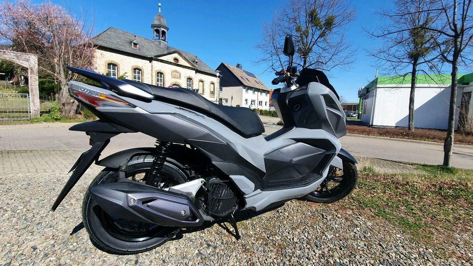 Sym JET-X 125☆ Neumodell 2024☆ Euro5☆ABS☆125ccm☆ /B&M in Goslar