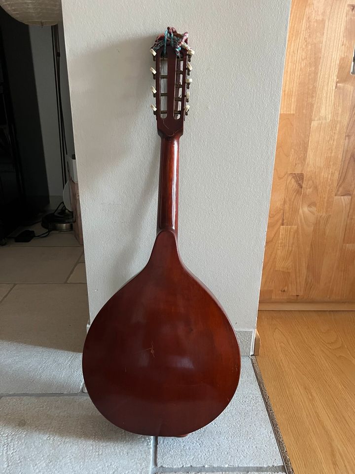 Waldzither Mandola Karel Pilar 9 Saiten in Waren (Müritz)