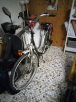 Saxonette, Fahrrad mit Hilfsmotor Schleswig-Holstein - Selent Vorschau