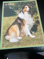 1000 Teile Puzzle - Lassie - Hund - vollständig! Rheinland-Pfalz - Bitburg Vorschau