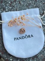 Pandora Gänseblümchen Roségold Dortmund - Innenstadt-West Vorschau